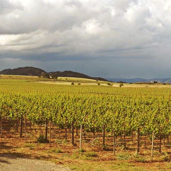Hendry Ranch Wines