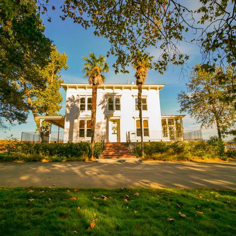 Hendry Vineyard and Winery, Oak Knoll District, Napa Valley