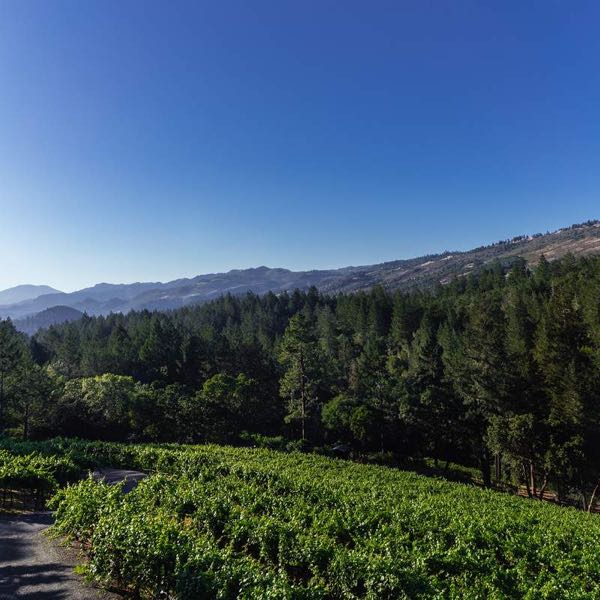 Herb Lamb Vineyards at ACME