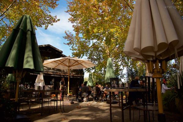 Honig Vineyard & Winery