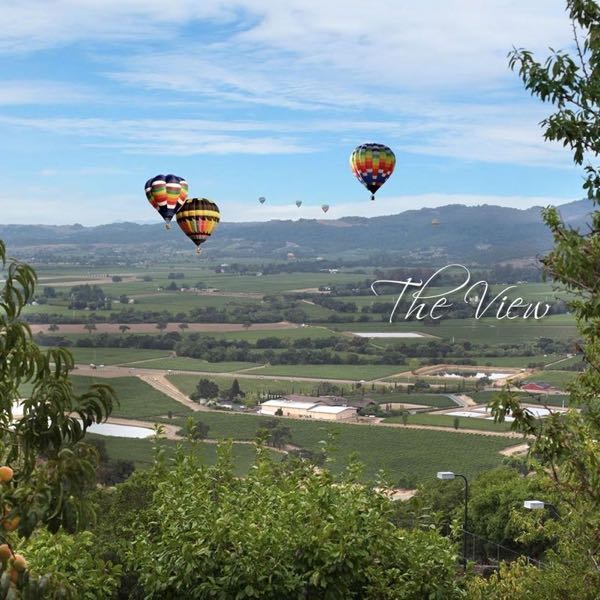 Husic Vineyards at Ma(i)sonry