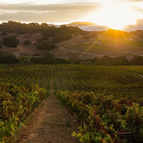 Hyde Estate Winery & Tasting Room
