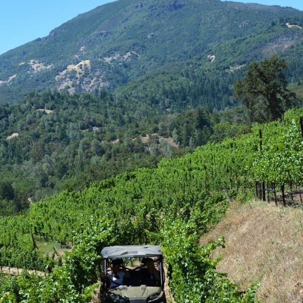 Jericho Canyon Vineyard