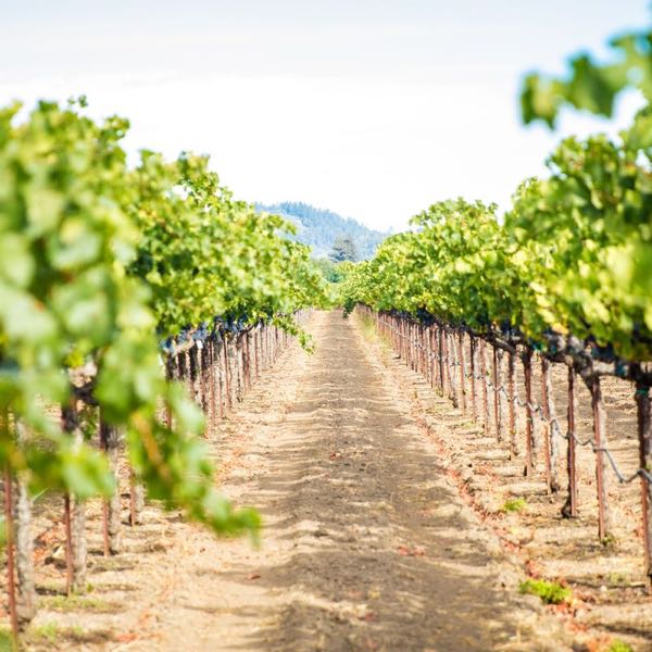 Jon Nathaniel Cellars