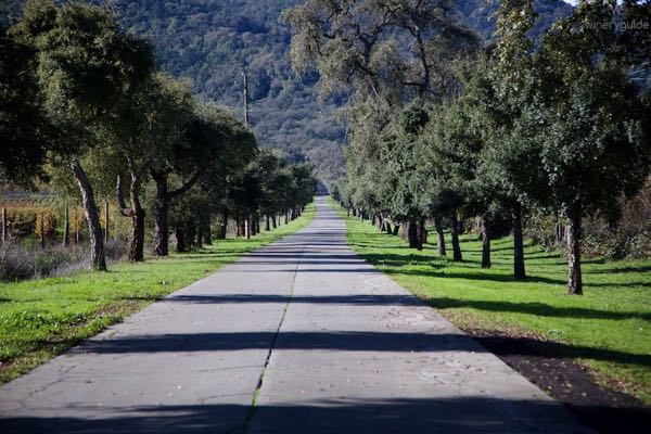 Keever Vineyards