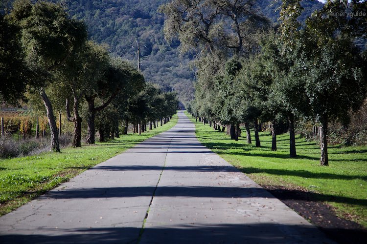Keever Vineyards, Oak Knoll District, Napa Valley