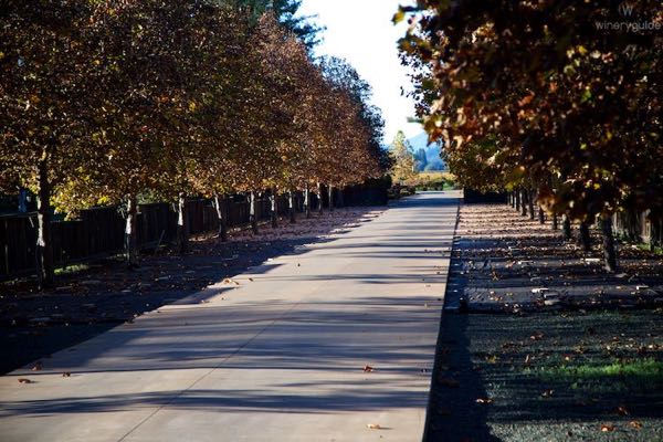 Kelham Vineyards & Winery