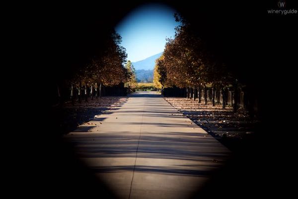 Kelham Vineyards & Winery