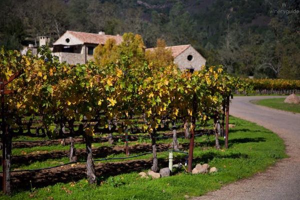 Kelly Fleming Wines
