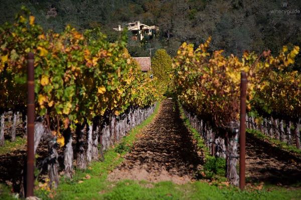 Kelly Fleming Wines
