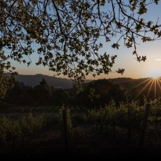 Lail Vineyards at Ma(i)sonry