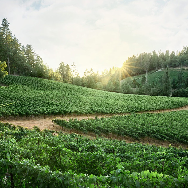 Lokoya, Spring Mountain District, Napa Valley
