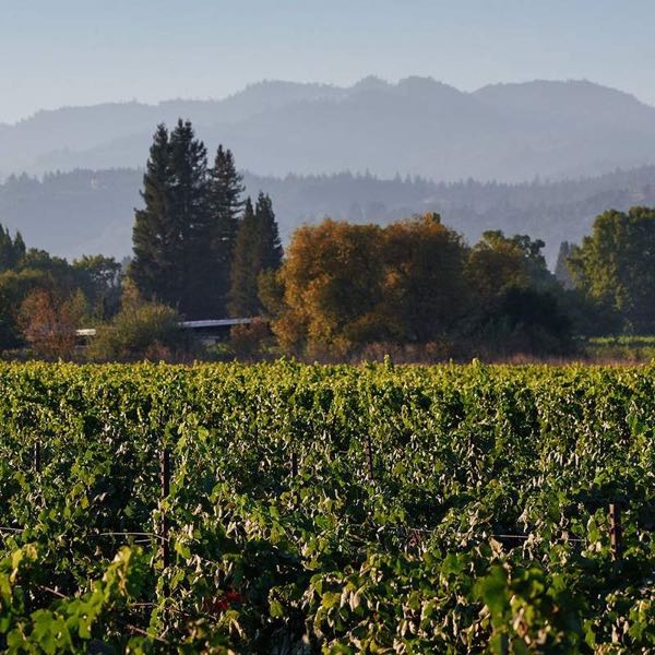 Long Meadow Ranch Winery