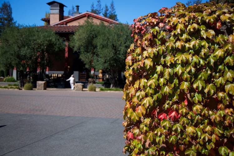 Luna Vineyards, Oak Knoll District, Napa Valley