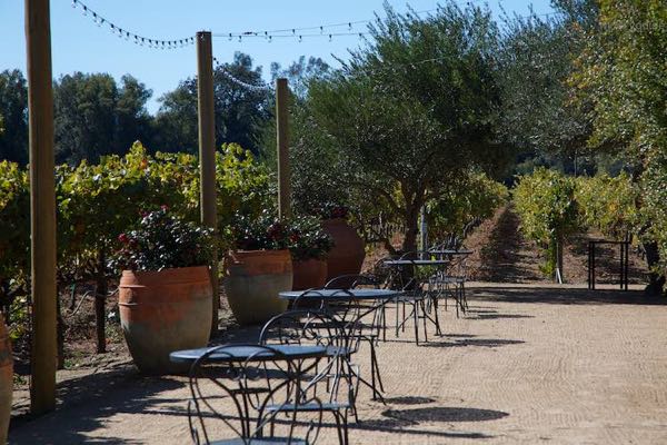 Luna Vineyards