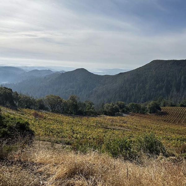Mayacamas Estate
