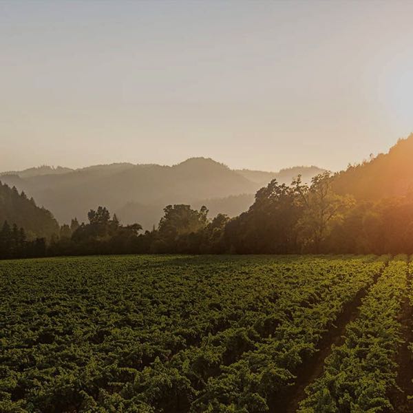 Napa Cellars