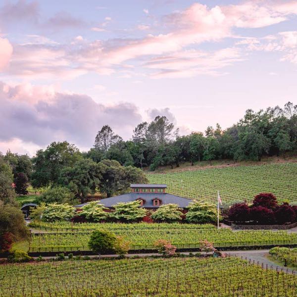 Neal Family Vineyard