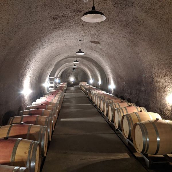 Neal Family Vineyard