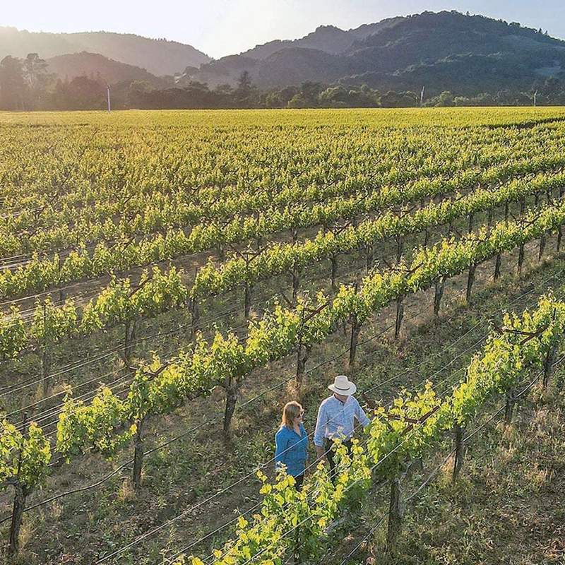 O'Brien Estate, Oak Knoll District, Napa Valley