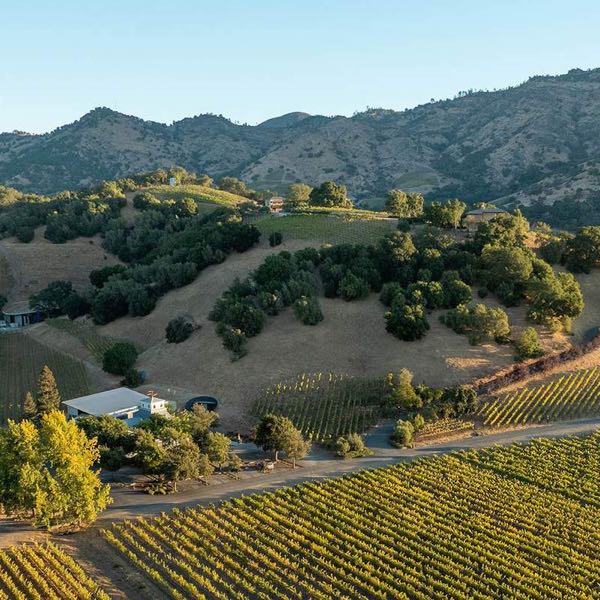 Odette Estate Winery