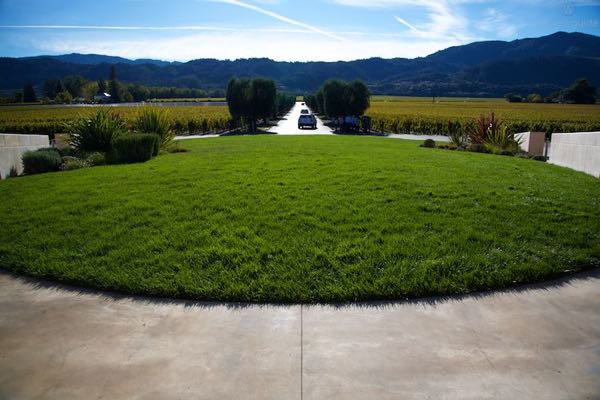Opus One
