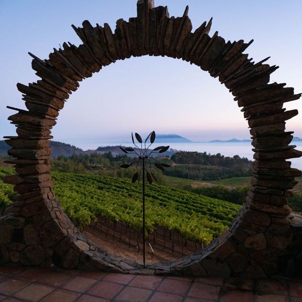 Paloma Vineyard