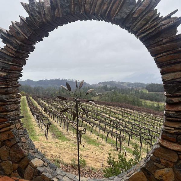 Paloma Vineyard