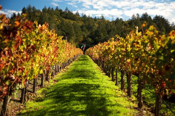 Paoletti Estates Winery