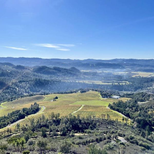 Peter Michael Winery