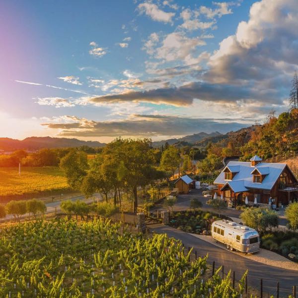 Phifer Pavitt Wine