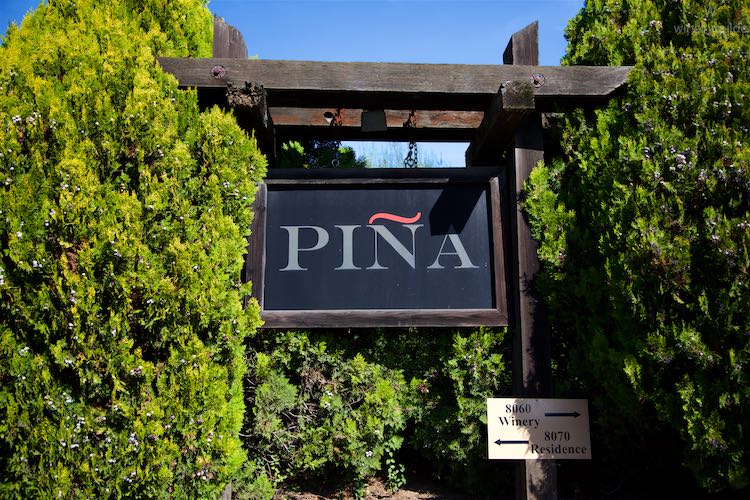 Pina, Stags Leap District, Napa Valley
