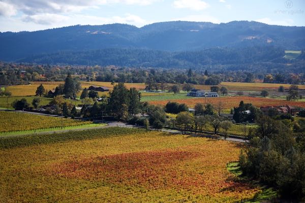 Page Wine Cellars