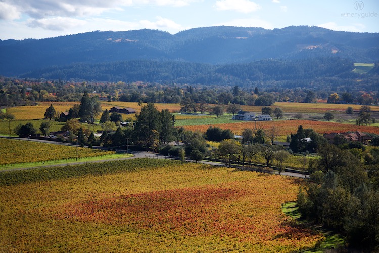 Page Wine Cellars, Napa Valley, Napa Valley
