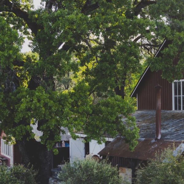 Pope Valley Winery