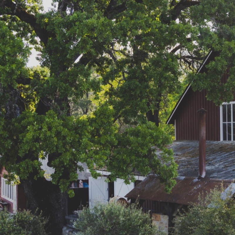 Pope Valley Winery, Wild Horse Valley, Napa Valley