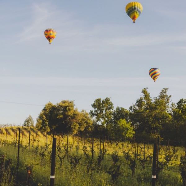 Pope Valley Winery