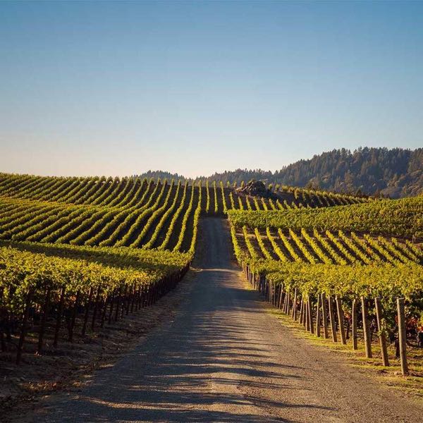 Pride Mountain Vineyards