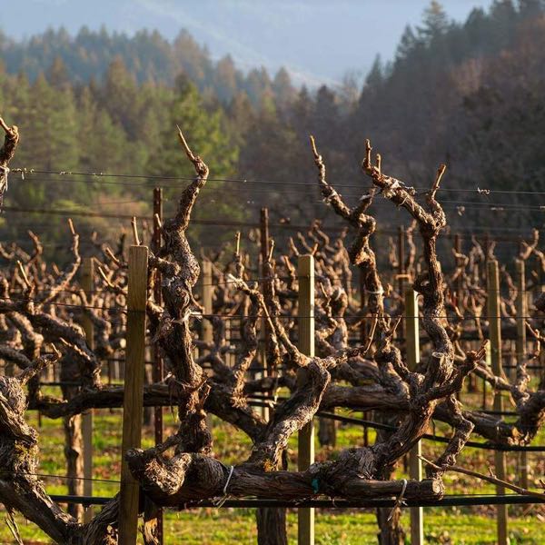 Pride Mountain Vineyards