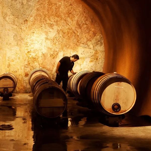 Purlieu Wines
