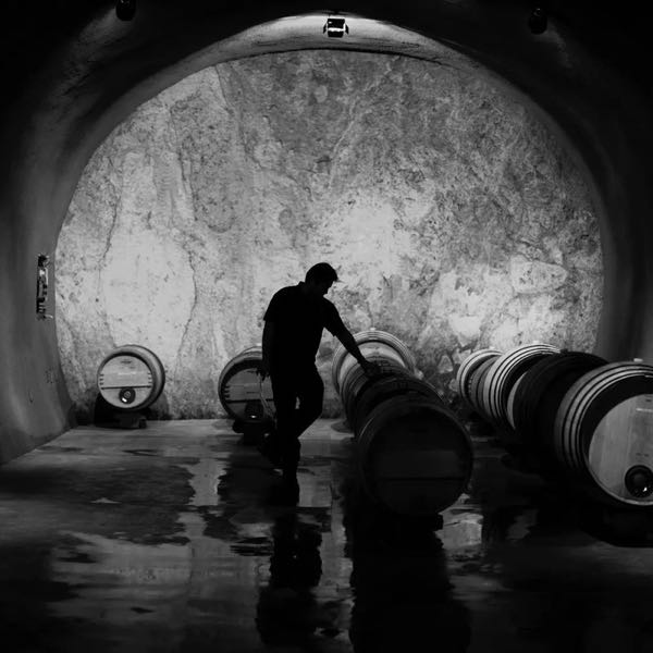 Purlieu Wines