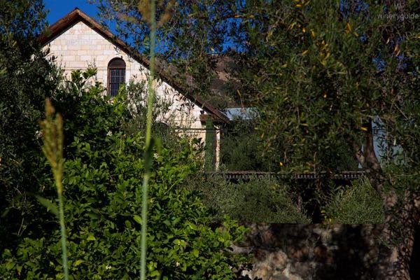 Regusci Winery