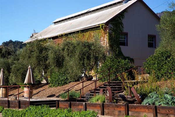 Regusci Winery