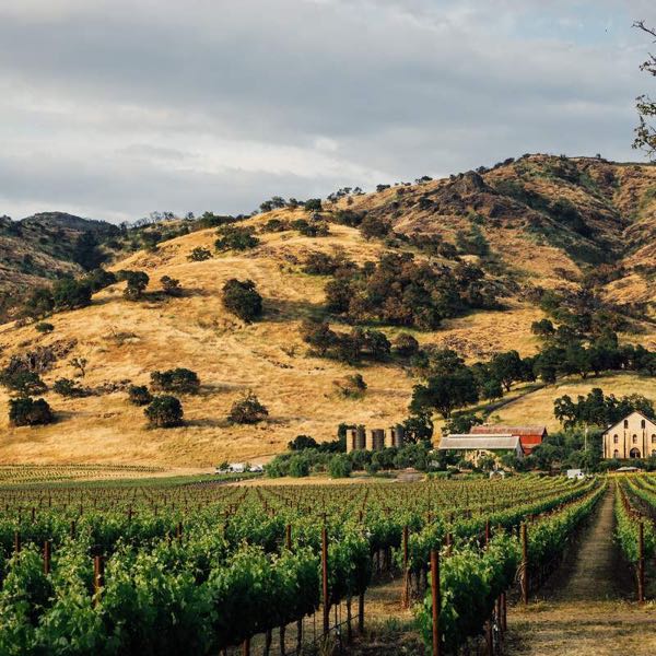 Regusci Winery