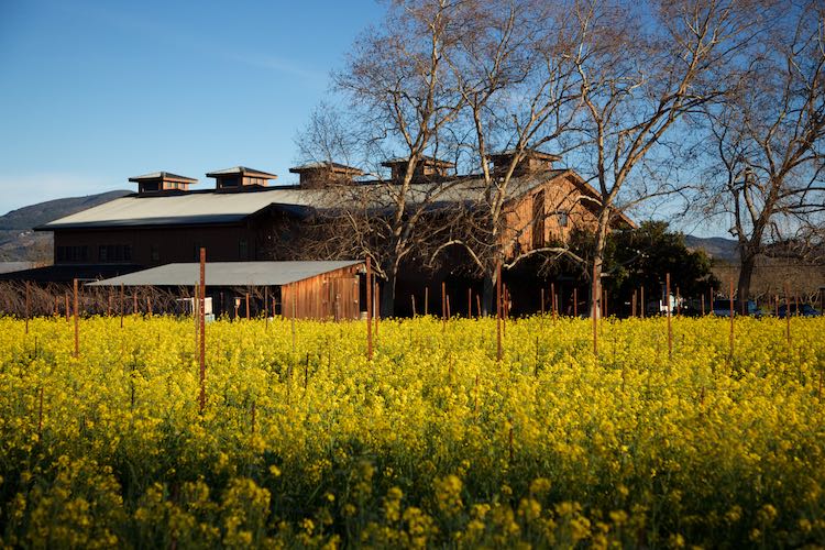 Robert Biale Vineyards, Napa Valley, Napa Valley