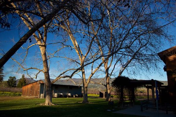 Robert Biale Vineyards