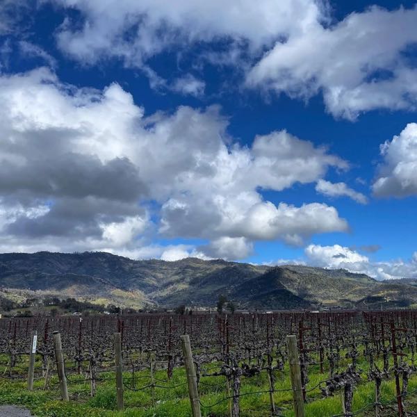 Romeo Vineyards