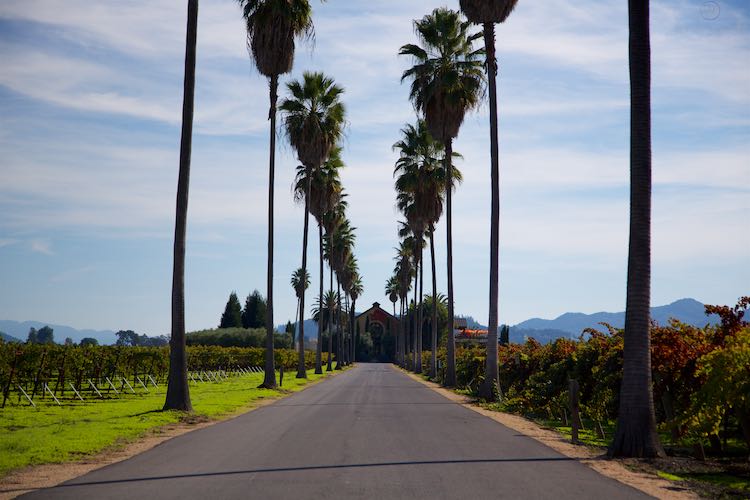 Round Pond Estate, Rutherford, Napa Valley