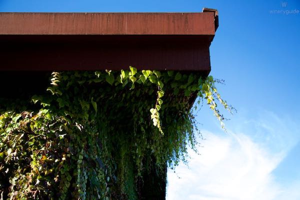 Rutherford Grove Winery