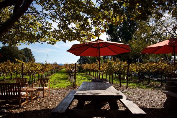 Saddleback Cellars